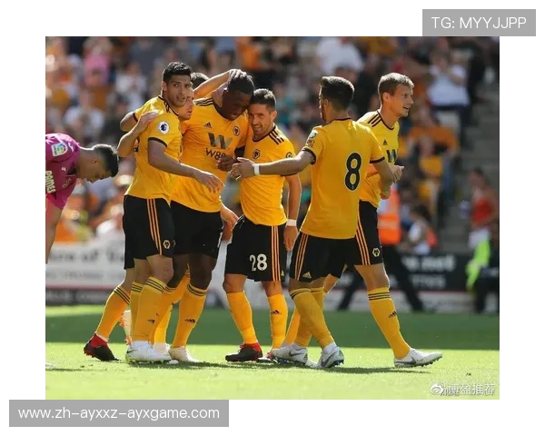 英超英冠球队出售：英超与英冠球队的出售市场分析